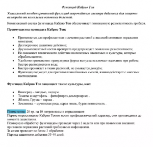 Фунгицид Кабрио Топ 100 гр.