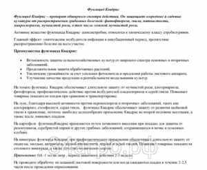 Фунгицид Квадрис 100 мл