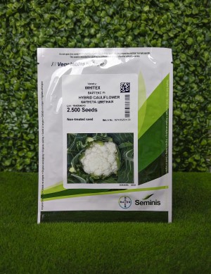 Капуста цветная Вайтекс F1 250 семян