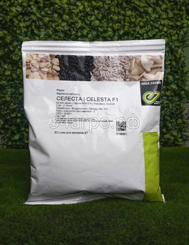 Редис Селеста F1 500 гр.