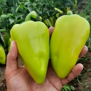 Перец сладкий Амаретта F1 10 семян