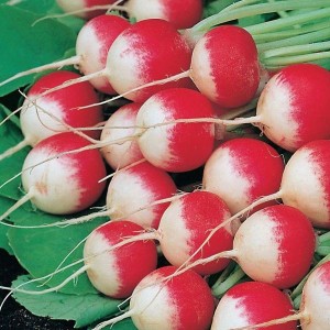 Редис Маяк 50 гр.