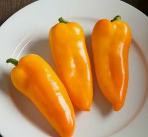 Перец Янтарь 100 гр.