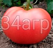 Томат Волгоградские Зори 100 гр.