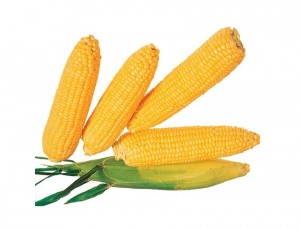 Кукуруза Лакомка Белогорья 50г