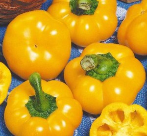 Перец Оранжевый Юбилейный 20 гр.